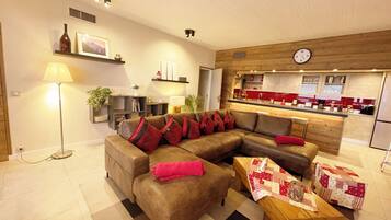 TV connectée, cheminée, lecteur de DVD, vidéothÚque