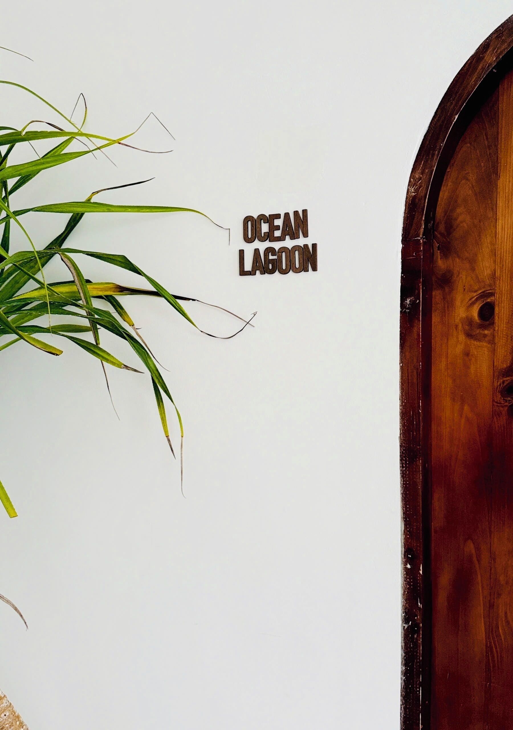 A wall with the text "OCEAN LAGOON" and a wooden door.