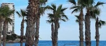 Nice apartment in ALGAIDA- Oropesa, 3 min from La Concha beach, ideal for families, friends.