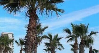 Nice apartment in ALGAIDA- Oropesa, 3 min from La Concha beach, ideal for families, friends.