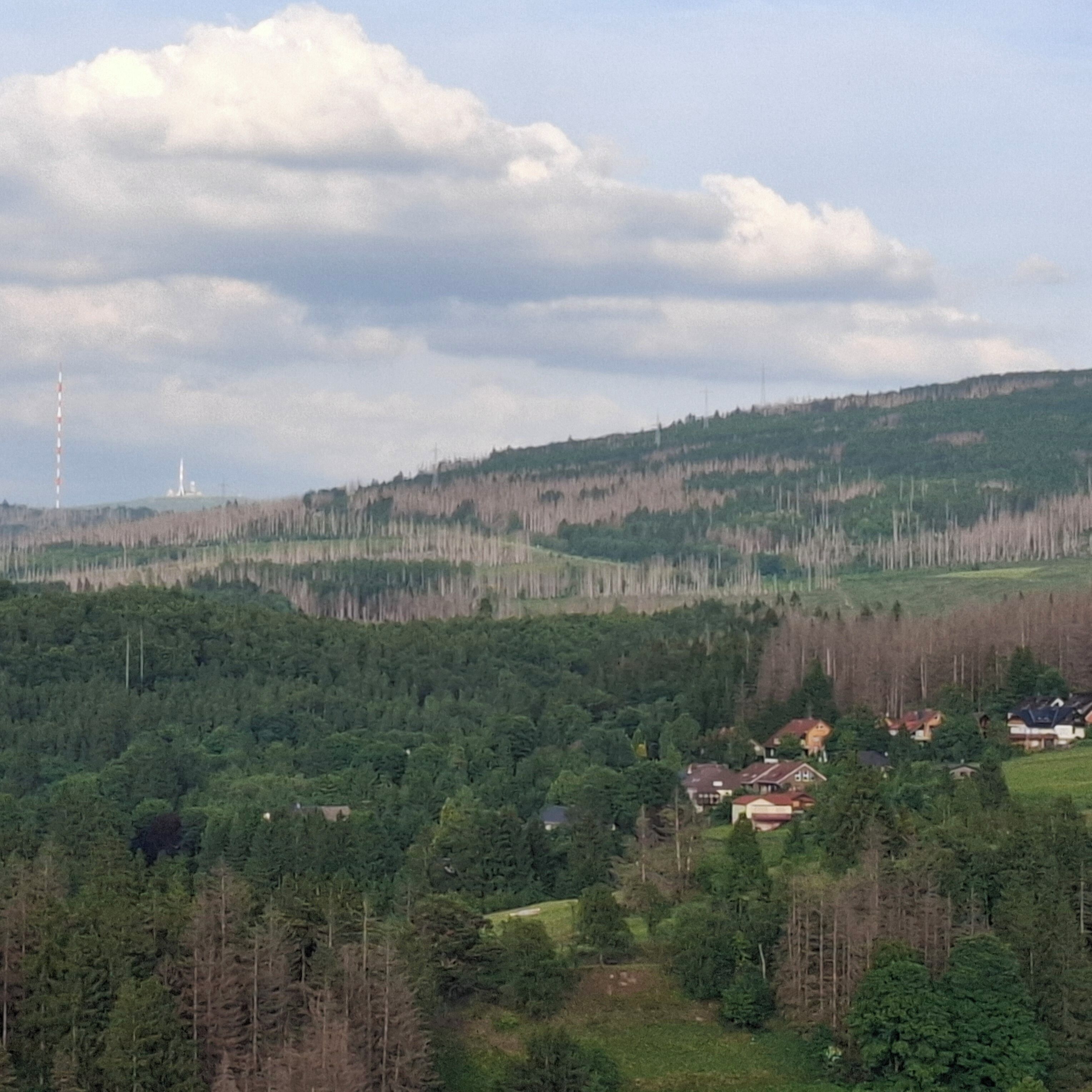 A landscape with a forested hill, a small cluster of houses, and a distant tower.