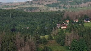 A landscape with a forested hill, a small cluster of houses, and a distant tower.