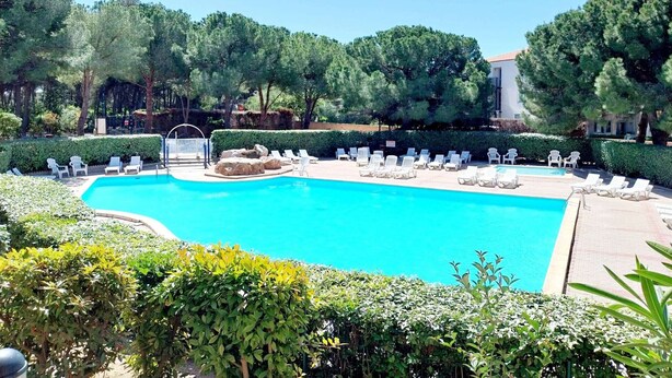 A clear blue swimming pool surrounded by white lounge chairs and greenery.