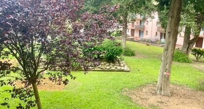 trĂšs bel F3 avec balcon