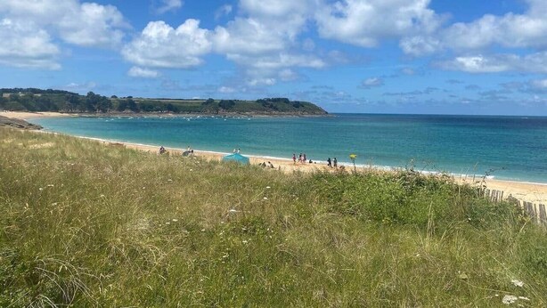 Un paysage côtier avec une plage, un premier plan herbeux et un ciel dégagé.