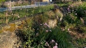 Un bâtiment en pierre doté d’un toit en pente, entouré de verdure et d’un petit étang.