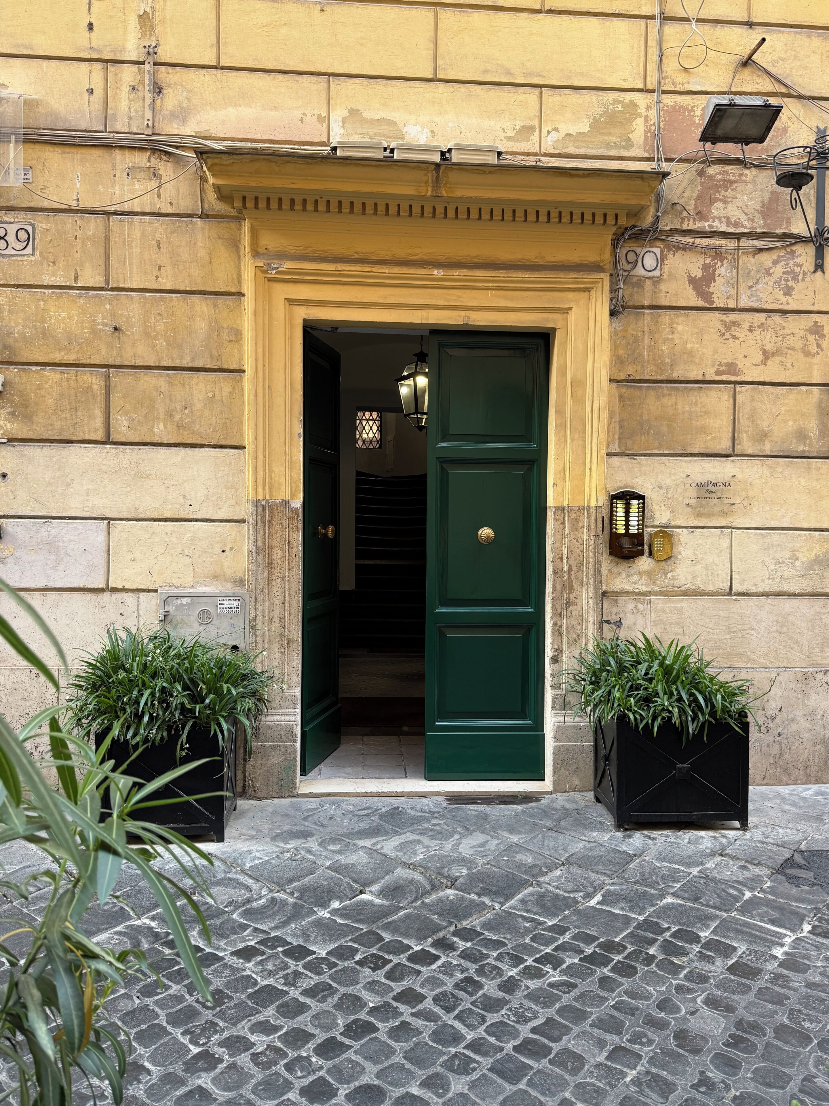 A building entrance with a green door, two potted plants, and a cobblestone street.