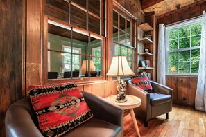 Smart TV, fireplace, books