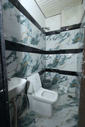 Shower, towels, toilet paper