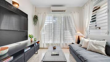 Smart TV, DVD player