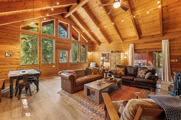 Smart TV, fireplace, DVD player, books