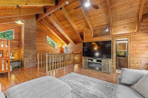 Smart TV, fireplace, DVD player, books