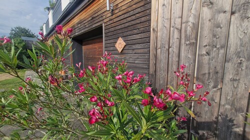 Vacation apartment am Bühl