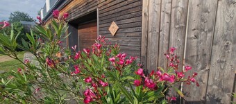 Vacation apartment am Bühl
