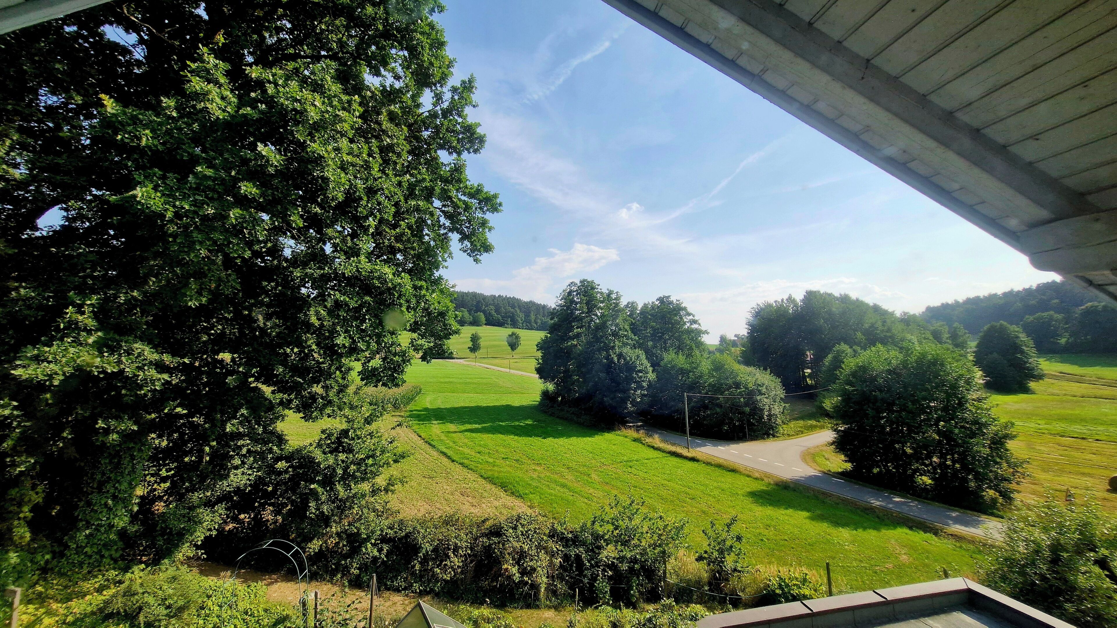 Vista de un paisaje verde con árboles y una carretera.