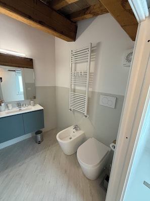 Shower, hair dryer, bidet, towels
