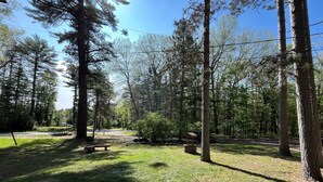 Property grounds - Quiet Pine Retreat in Tawas City (Tawas City)