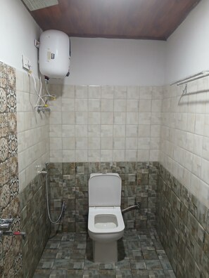 Shower, towels, toilet paper