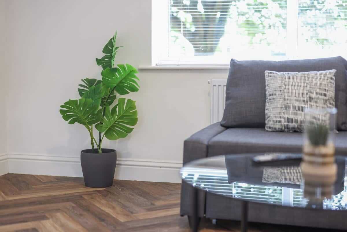 Televisión y oficina 