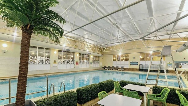 Ein Hallenbad mit einer Palme, grünen Liegestühlen und einer Leiter.
