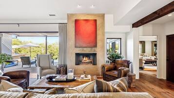 Télévision, cheminée, livres, chaîne hi-fi