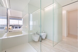 Shower, hair dryer, bidet, towels