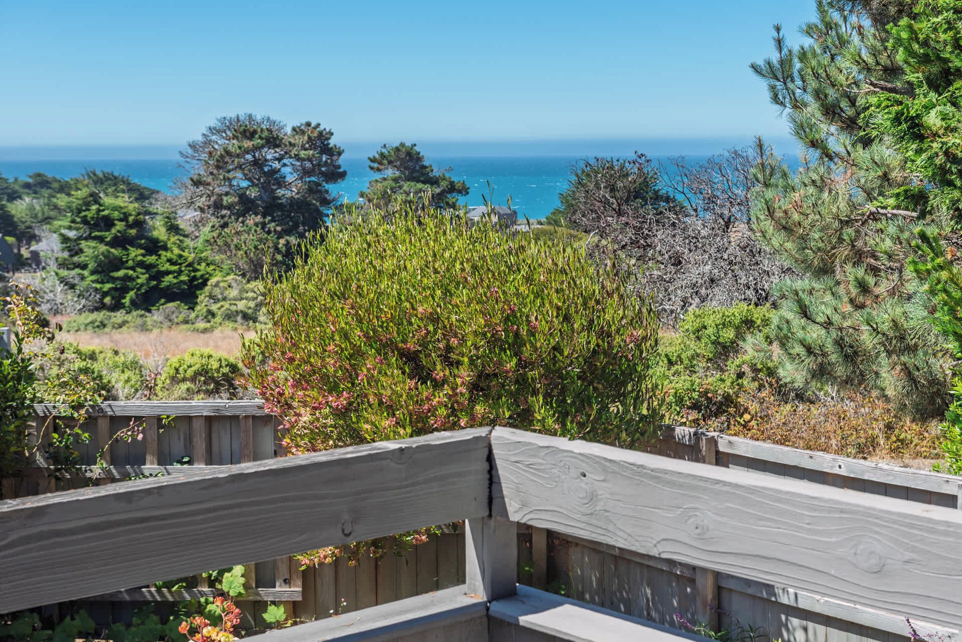 Terrain de l’hébergement 