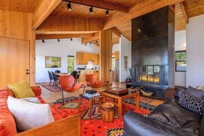 TV, fireplace, books