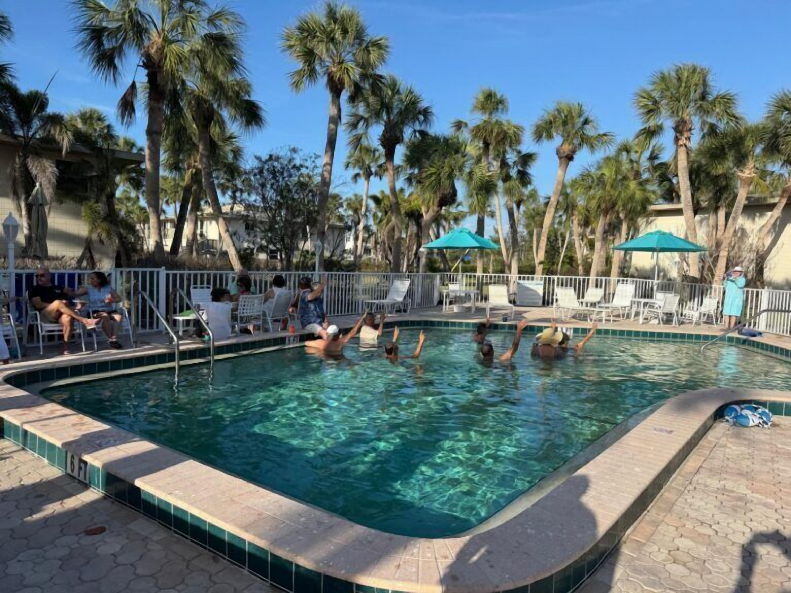 A swimming pool with clear water, surrounded by palm trees and lounge chairs.