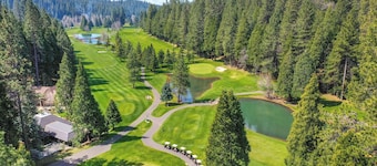 藍湖泉木屋:步行至飛行湖!