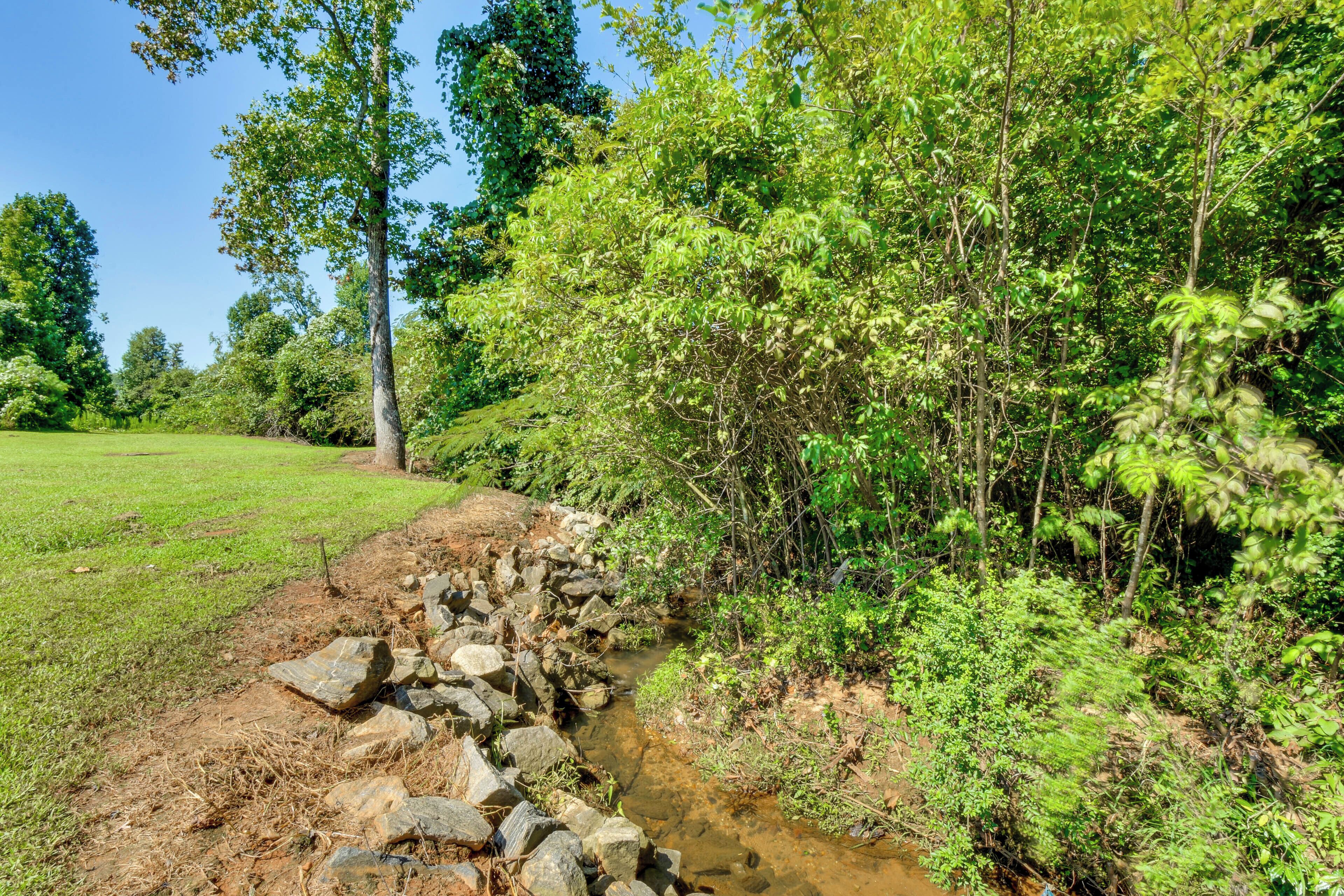 A natural landscape with a stream, rocks, and dense greenery.