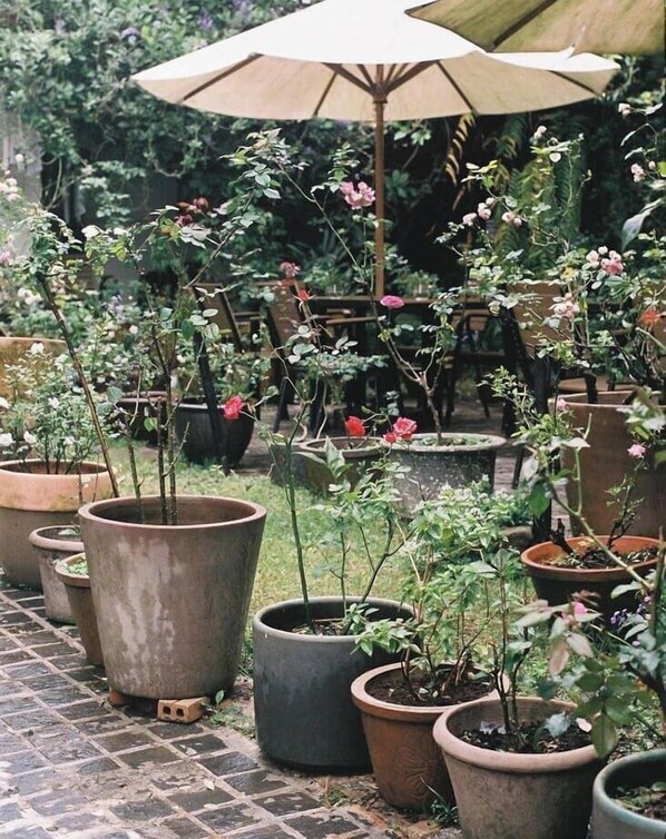 Un jardín con plantas en macetas y un gran paraguas.