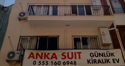 anka suit