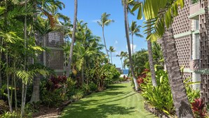 A well-maintained garden pathway lined with palm trees and tropical plants, leading to a building with a lattice facade.