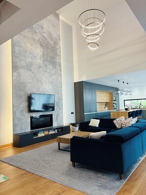 TV, fireplace
