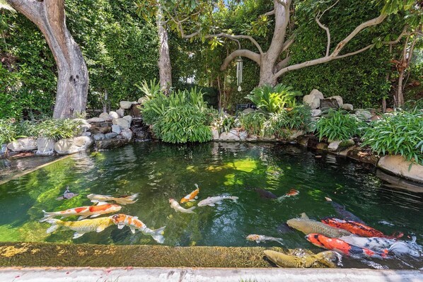 A koi pond surrounded by rocks and greenery, with a waterfall feature and a hanging wind chime.
