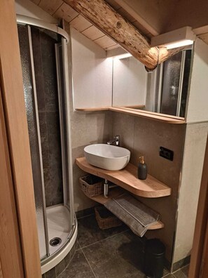 Shower, hair dryer, bidet, towels