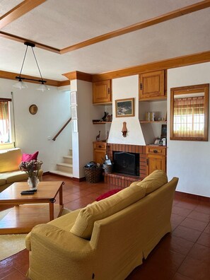 Televisie, een open haard en boeken