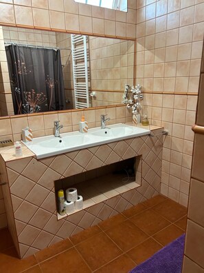 Hair dryer, bidet, towels, soap