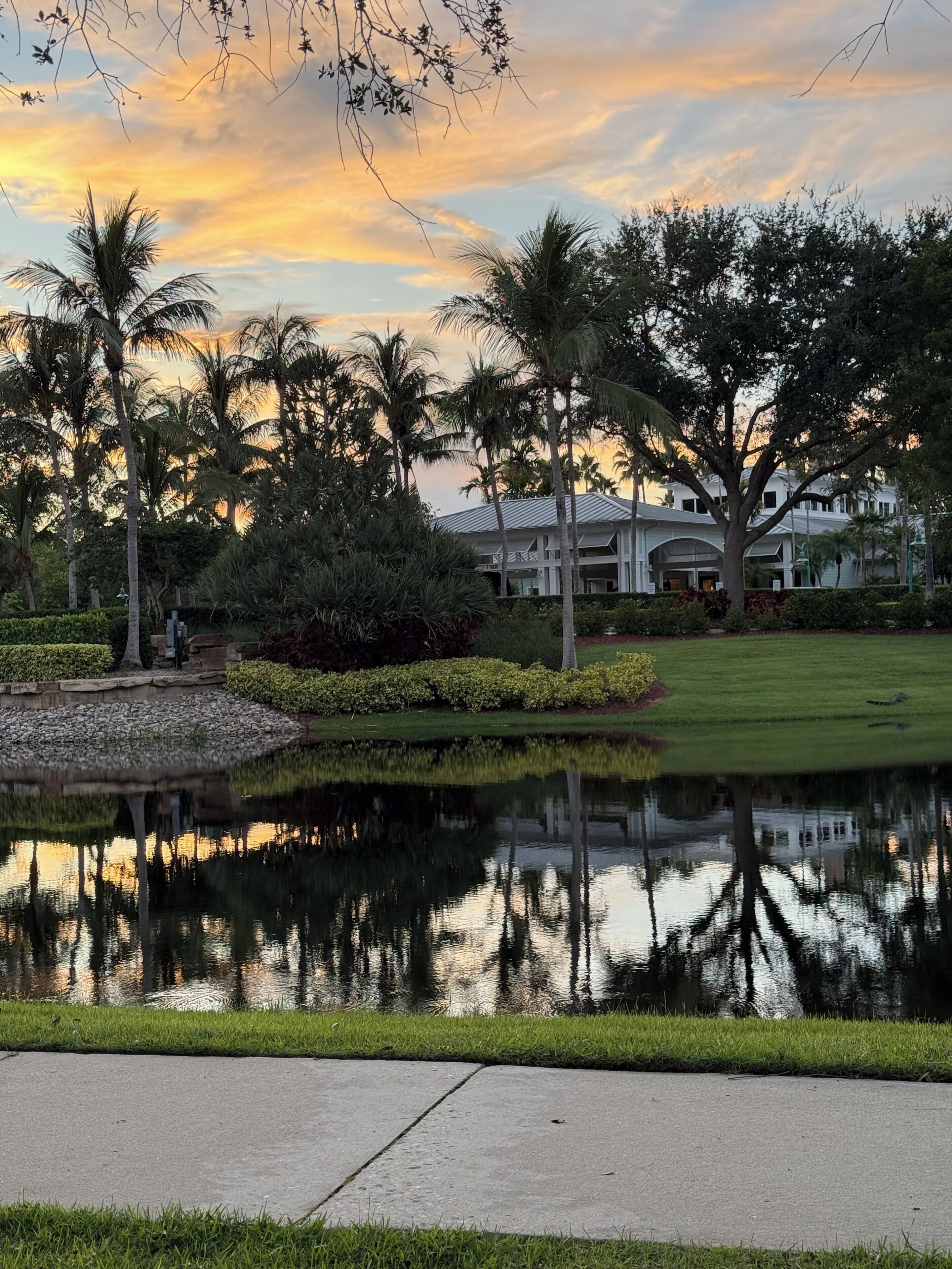 Une vue paisible sur un lac, avec un bâtiment blanc, des palmiers et des pelouses bien entretenues.