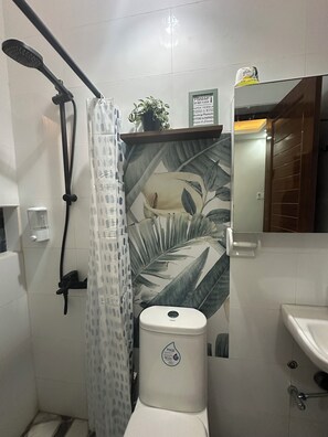 Regadera, secadora de cabello, bidet, toallas