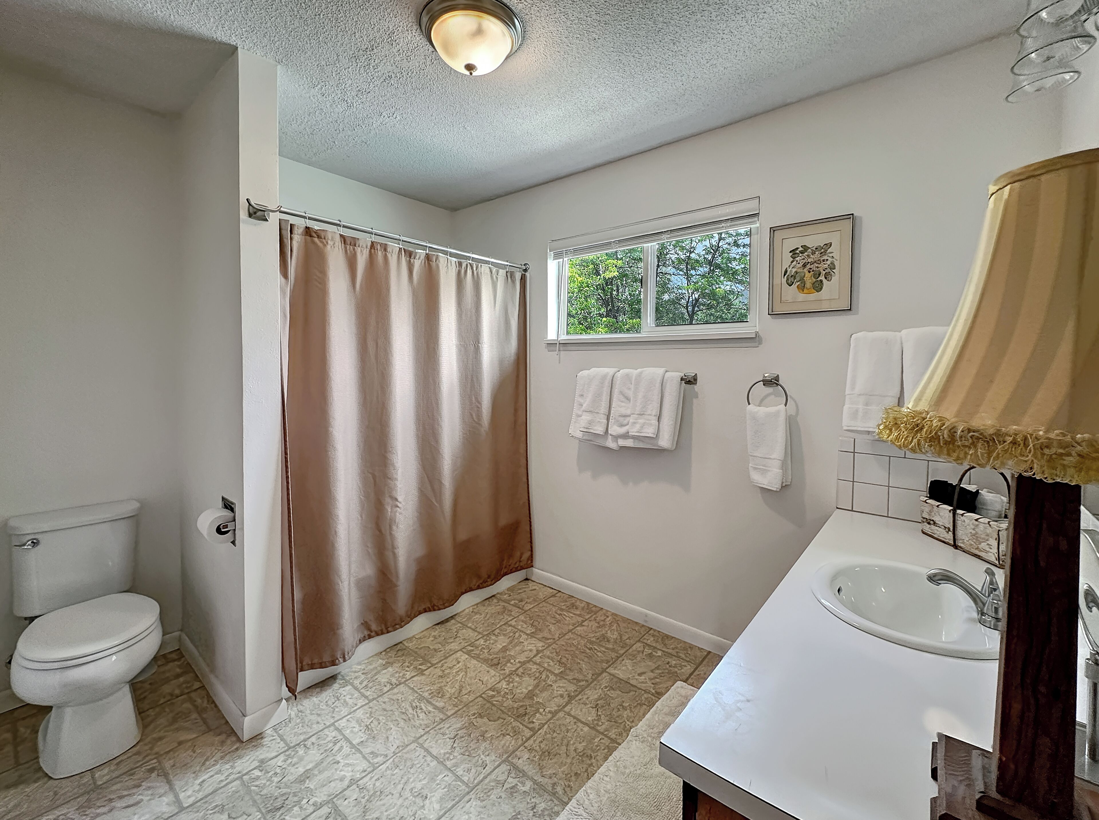 Hair dryer, towels, soap, toilet paper