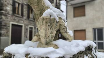 Detalle del exterior