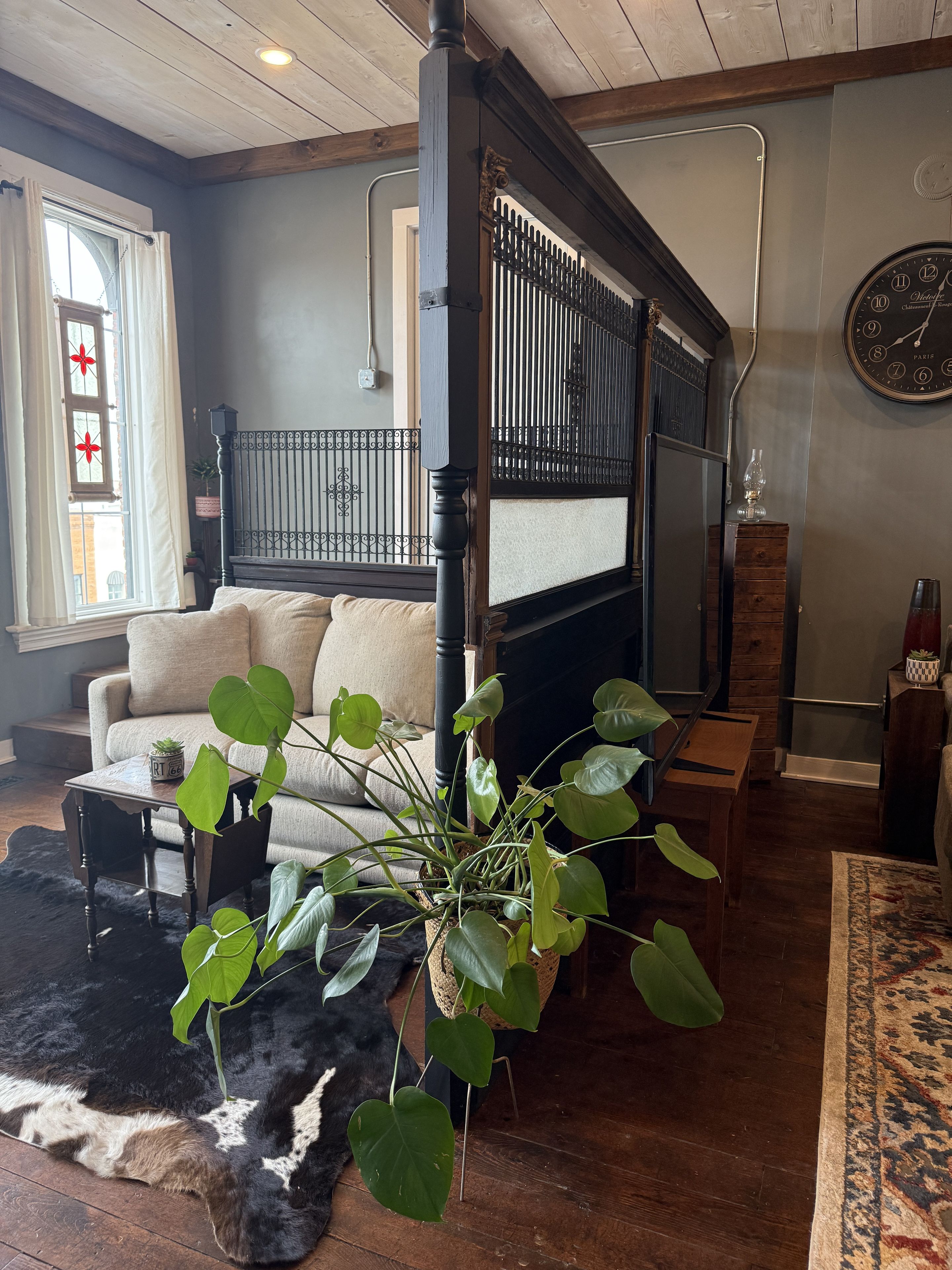 A room with a bed, a sofa, a coffee table, and a large plant.