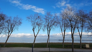 A park with trees and a body of water in the background. - Chez Christophe Pauillac  (Pauillac)