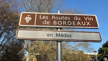 Viñedo