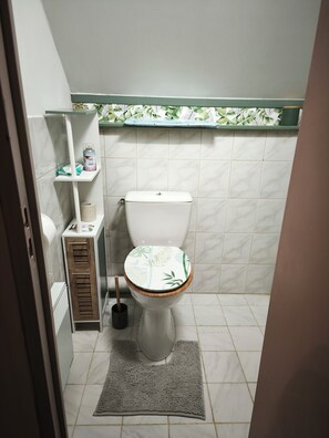 Hair dryer, towels, toilet paper