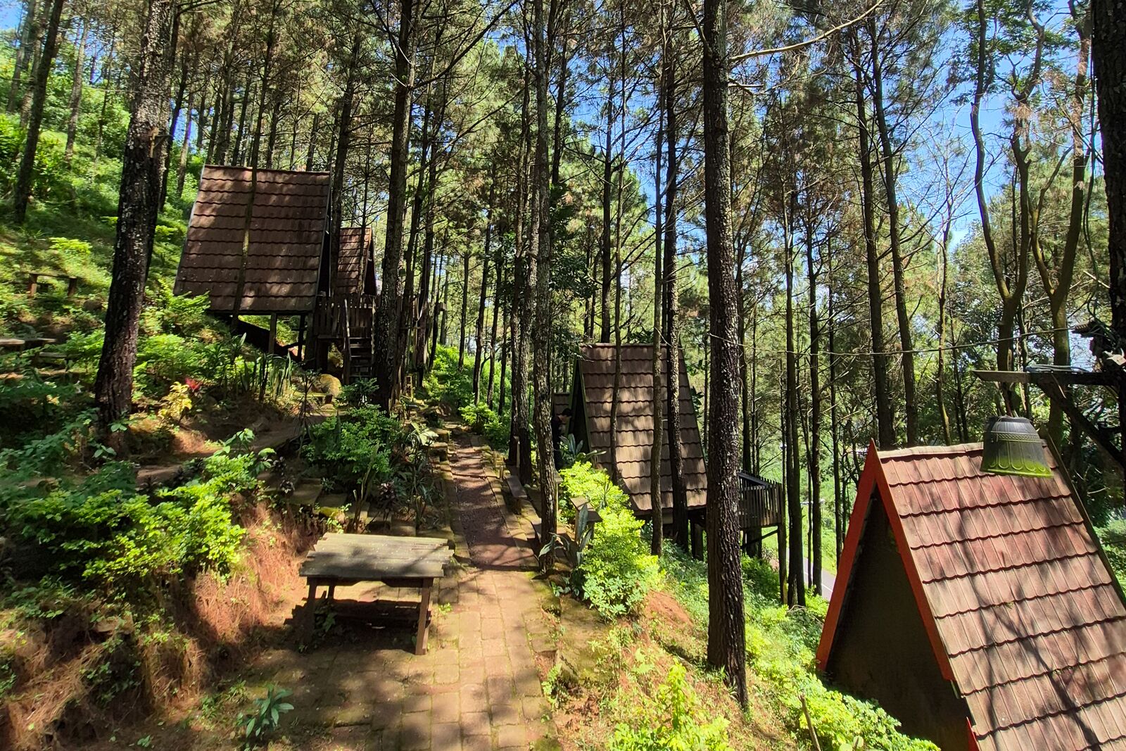 A forest with treehouses connected by a stone pathway.