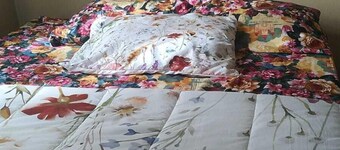 D'Orange Tropical Oasis