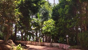 Un sendero pavimentado con un diseño de baldosas, rodeado de exuberante vegetación y árboles altos.
